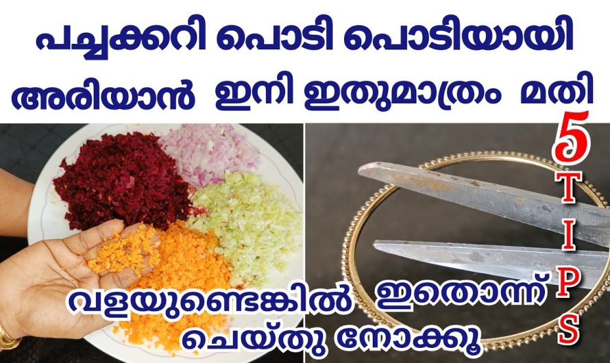 ഇനി എന്തെളുപ്പം, പൊടിപൊടിയായി പച്ചകറി അരിയാൻ ഇതിലും നല്ല മാർഗം ഇല്ലാ