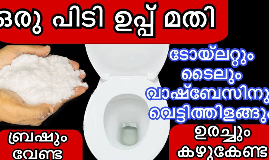 ഒരു പിടി ഉപ്പ് മതി വാഷ്‌ബേസിനും ക്ലോസറ്റും വെട്ടിത്തിളങ്ങാൻ, എത്ര അഴുക്കു പിടിച്ച ടൈലും