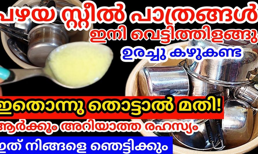 വെള്ളിപോലെ വെട്ടിതിളങ്ങും, പാത്രം ഉരച്ചുകൈ വേദനിക്കണ്ട പഴയ സ്റ്റീൽ പാത്രങ്ങൾ