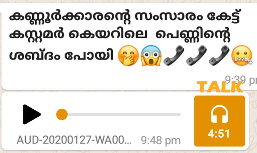 കണ്ണൂരിലെ പയ്യന്റെ സംസാരം തകർത്തു, ചേച്ചിക്ക് ദേഷ്യം വന്നുട്ടോ