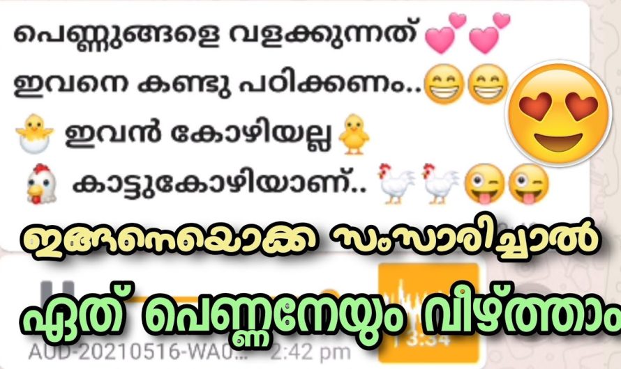 ഇവൻ കോഴിയല്ല കാട്ടുകൊഴിയാ, ഇവനെ വെല്ലാൻ  വറാരുമില്ല, പെണ്ണുങ്ങളെ വളക്കാൻ