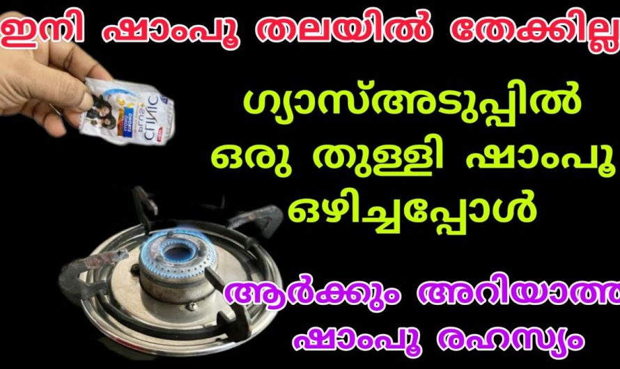 നിങ്ങളെ ഞെട്ടിക്കും, ഒറ്റത്തുള്ളി ഷാംപൂ മതി|ഷാംപൂ കൊണ്ടുള്ള സൂത്രം