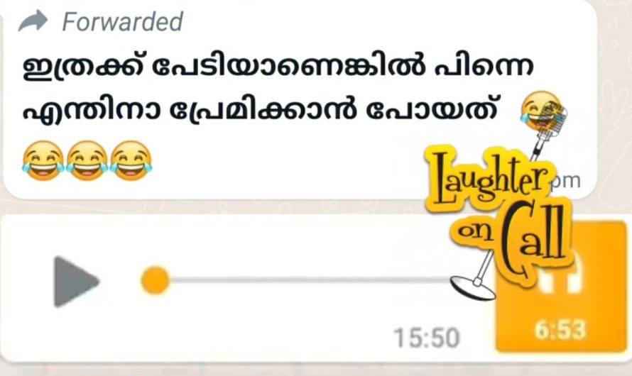 എന്തിനാ പ്രേമിക്കാൻ പോയത് പേടിയാണെങ്കിൽ