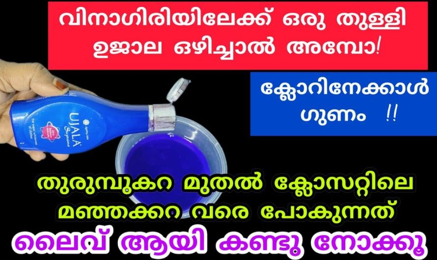 ക്ലോസറ്റിലെ മഞ്ഞക്കറ മുതൽ തുരുമ്പുകറ വരെ മിനിറ്റുകൾക്കുള്ളിൽ മാറ്റിയെടുക്കാൻ ഇനി ഇതു മതി