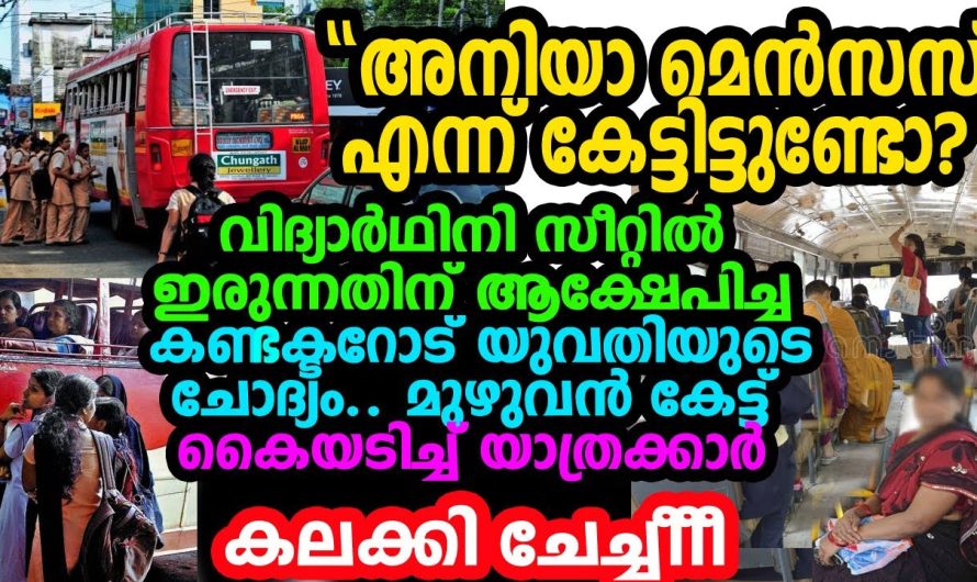 മോശമായി സ്‌കൂള്‍കുട്ടിയോട്  പെരുമാറിയ കണ്ടക്ടര്‍ ആകെ നാറി നാണംകെട്ടു; യാത്രക്കാരിയായ ചേച്ചി തകര്‍ത്തു