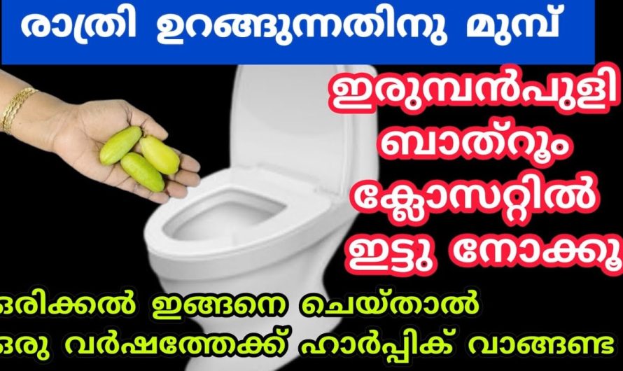 ഇനി ആരും കളയില്ല, ഇതറിഞ്ഞാൽ ഒരു ഇരുമ്പൻ പുളി പോലും