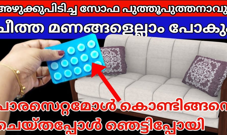 മൂത്രമൊഴിച്ചാലും കുട്ടികൾ സോഫയിൽ, വിഷമിക്കണ്ട,വീട്ടിലെ അഴുക്കുള്ളസോഫ, ബെഡ് പുതിയത് പോലെ ആക്കാൻ എളുപ്പവഴി