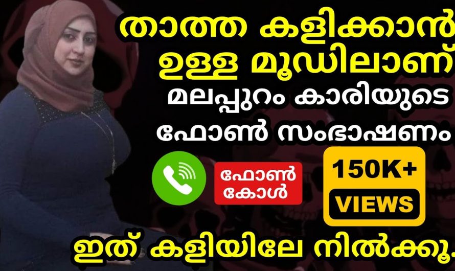 മലപ്പുറംകാരിയുടെ സംഭാഷണം, താത്ത ചെക്കനെ വീട്ടിൽ വിളിച്ച് കളിക്കാനുള്ള മൂഡിലാണ്!