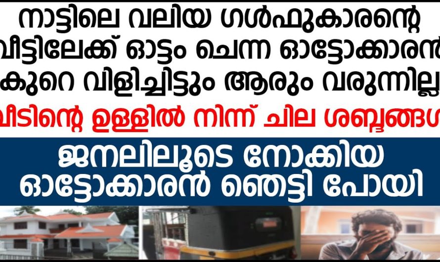 ജനലിലൂടെ  ഉള്ളിലൂടെ ഒളിഞ്ഞുനോക്കിയ ആ ഓട്ടോക്കാരൻ കണ്ട ദൃശ്യങ്ങൾ