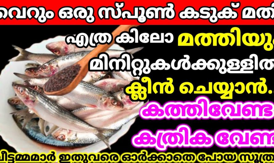 ഈ കിടിലൻസാധനംകത്തി വേണ്ട കത്രിക വേണ്ട ഷോക്കാവും!