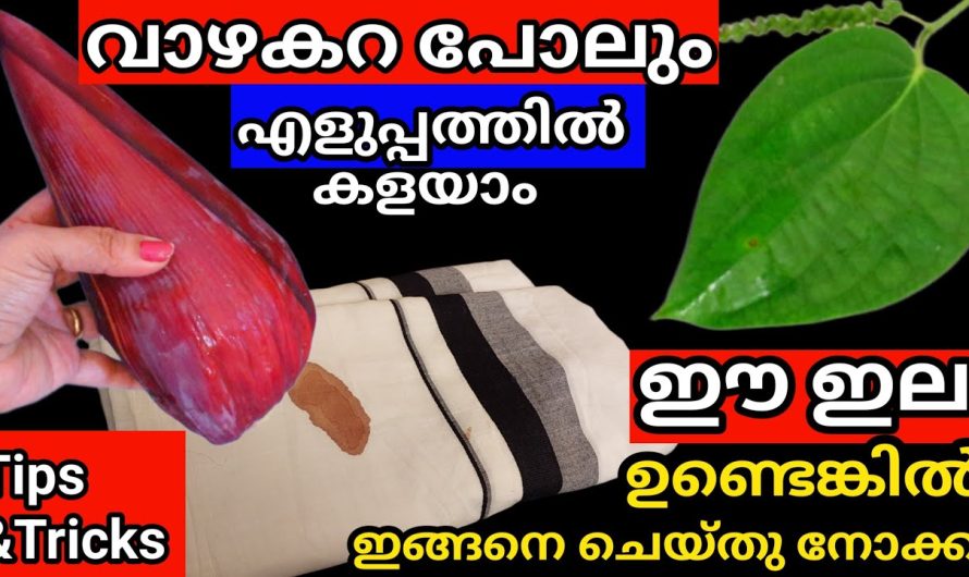 ഈസിയായി കളയാം ഇതൊന്നു തൊട്ടാൽ വാഴക്കറ പോലും, ഒരു സംഭവം തന്നെ കുരുമുളകിന്റെ ഇല