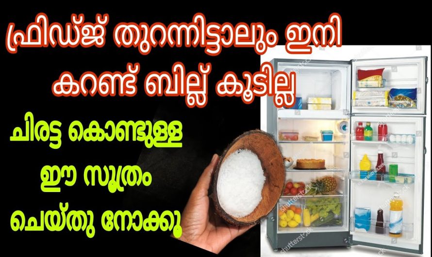 ഈ സൂത്രം ചെയ്തു നോക്കൂ ചിരട്ട കൊണ്ടുള്ളത് കറണ്ട് ബില്ല് കുറയ്ക്കാം