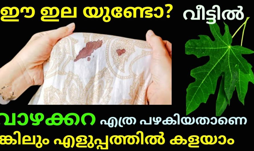 എത്ര പഴകിയതാണെങ്കിലും ഈ ഇലയുണ്ടോ വീട്ടിൽ വാഴക്കറ എളുപ്പത്തിൽ കളയാം കിടിലൻ ടിപ്സ്