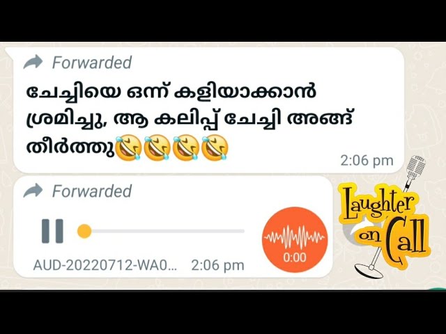 കലിപ്പ് തീർത്തു ചേച്ചിയെ കളിയാക്കാൻ നോക്കിയത് ആണ് പിന്നെ നടന്നത്