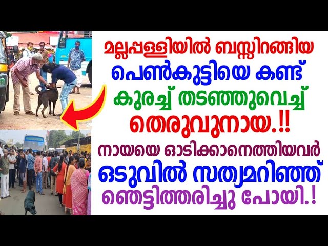 ആ സംഭവം കണ്ടു നിന്നവരെയെല്ലാം കണ്ണീരിലാഴ്ത്തിയ രംഗം