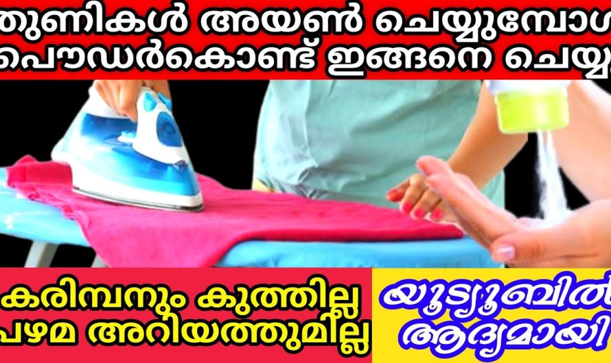 ഇത്രയും ഇടിവെട്ട് പ്രയോജനങ്ങൾ ഉണ്ടെന്നോ ദൈവമേ വെറും പൌഡർകൊണ്ട്