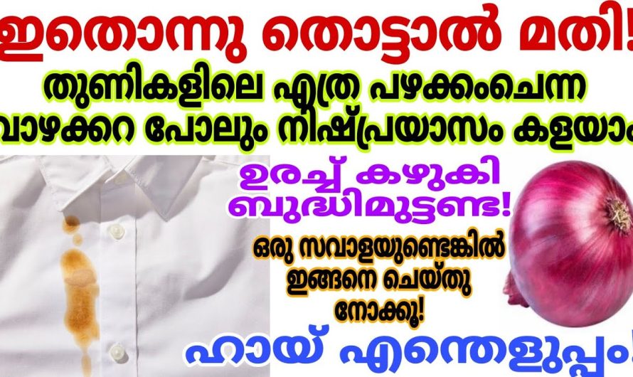 എത്ര പഴകിയാലും പാടു പോലും വരാതെ മാറ്റാം, തുണികളിലെ വാഴക്കറ