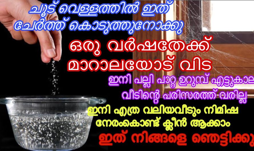 ഇനി ഒരു വർഷത്തേക്ക് മാറാലയോട് വിട, ചൂട് വെള്ളത്തിലേക്ക് ഇത്‌ ചേർത്തുനോക്കൂ