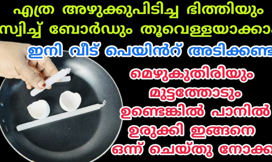 ഭിത്തിയിലെ അഴുക്കും മെഴുക്കും മാറ്റി ഭിത്തി തൂവെള്ളയാക്കാം, പെയിൻറ് അടിക്കാതെ തന്നെ