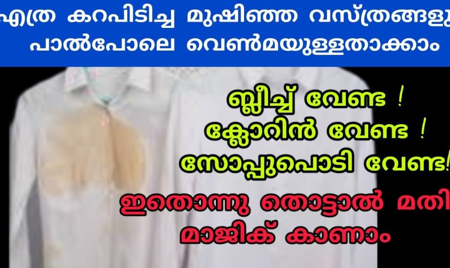 ഇനി പാൽ പോലെ തിളങ്ങും, ഈ ഒരൊറ്റ സാധനം ഉണ്ടെങ്കിൽ അഴുക്കുപിടിച്ച വെള്ള വസ്ത്രങ്ങൾ