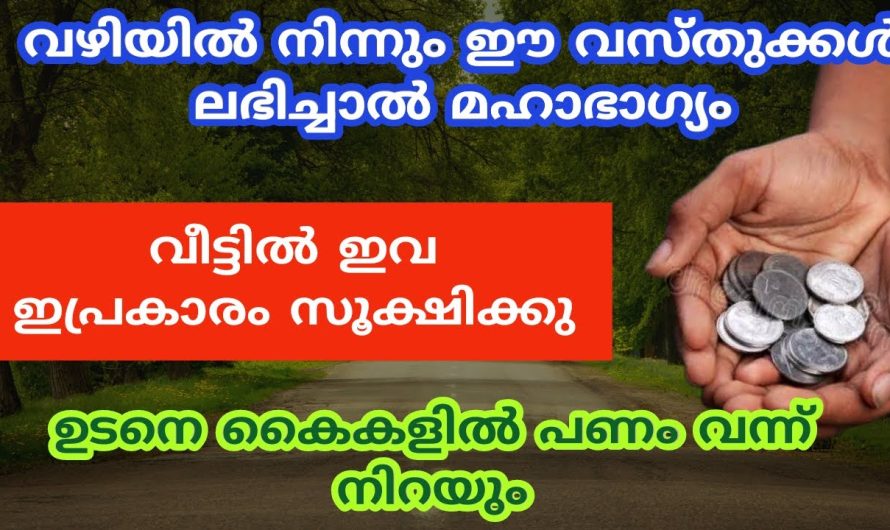 ജീവിതം രക്ഷപ്പെട്ടു, വഴിയിൽ നിന്നും ഈ വസ്തുക്കൾ ലഭിച്ചാൽ മഹാഭാഗ്യം