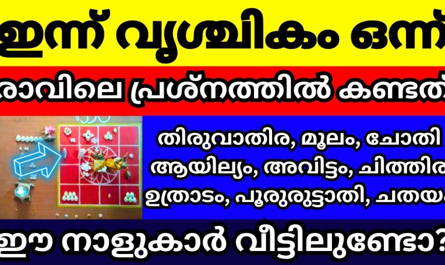 ഈ നാളുകാർ വീട്ടിലുണ്ടോ എങ്കിൽ ഇത് അറിയണം ഇന്ന് വൃശ്ചിക പുലരിയിൽ പ്രശ്നം വെച്ചപ്പോൾ കണ്ട് കാര്യങ്ങൾ,