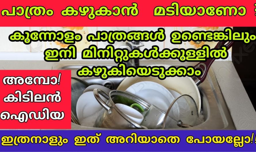 ഇനി ഇങ്ങനെ മാത്രമേ പാത്രം കഴുകൂ, ഈ സൂത്രമറിഞ്ഞാൽ