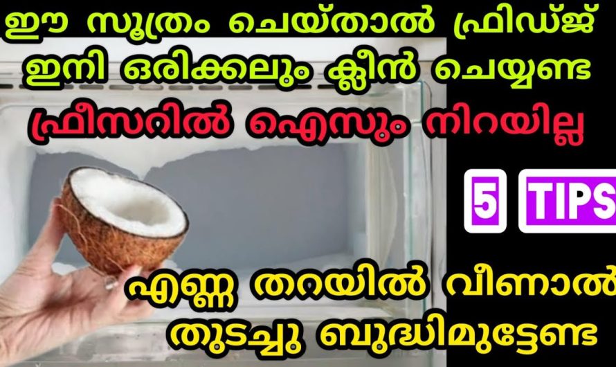 ആരും പറഞ്ഞു തരാത്ത, ഫ്രിഡ്ജ് ക്ലീൻ ചെയ്യാതെ തന്നെ എപ്പോഴും പുത്തനായിരിക്കും