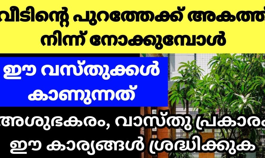 ഇങ്ങനെയാണ് വീടിനുള്ളിൽ നിന്ന് നോക്കുമ്പോൾ കാണുന്ന കാര്യങ്ങൾ വാസ്തുവിൽ പറയുന്നത് , അറിഞ്ഞിരിക്കുക