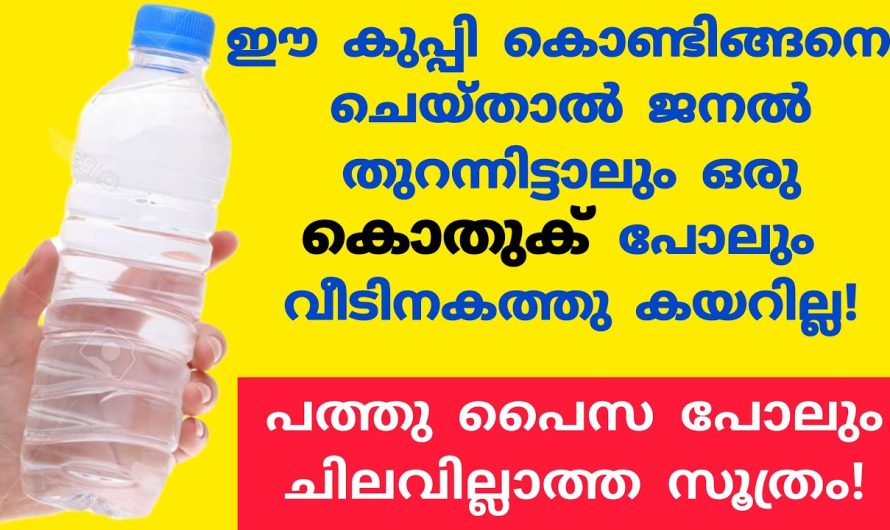 ഒരു കൊതുകു പോലും വരില്ല, കുപ്പി കൊണ്ട് ഇങ്ങനെ ചെയ്താൽ ജനൽ തുറന്നിട്ടാലും