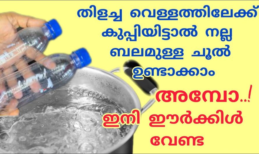 ഈർക്കിൽ ഒന്നും വേണ്ട കുപ്പി ഉണ്ടെങ്കിൽ ഇനി ചൂൽ ഉണ്ടാക്കാൻ