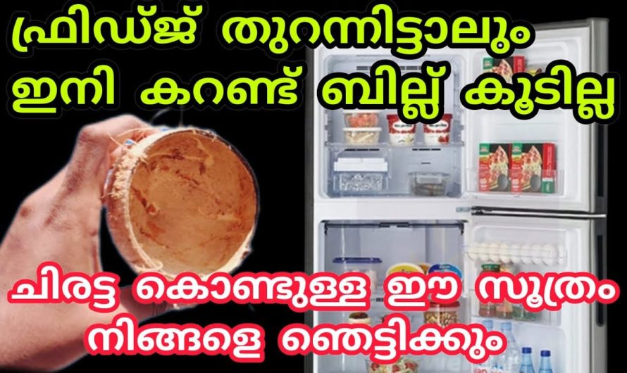 ചിരട്ട സൂത്രം ആരും പറഞ്ഞു തരാത്ത കറണ്ട് ബില്ല് കുറക്കാം