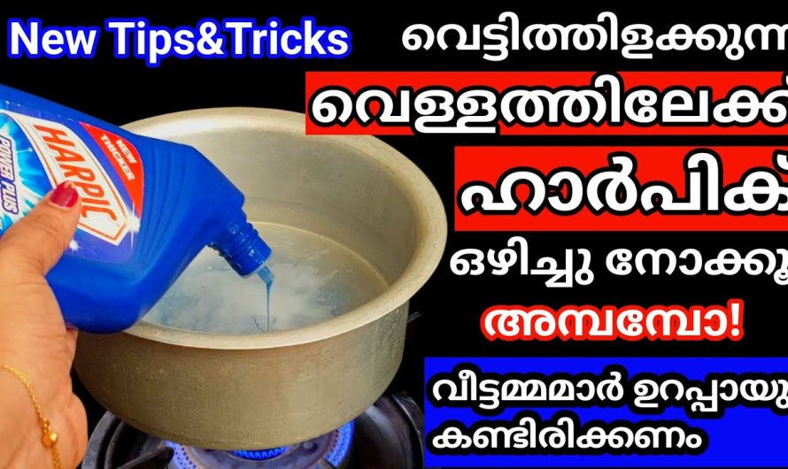 ഈ സൂത്രം ഞെട്ടിക്കും,പെട്ടെന്ന് ജോലി തീർക്കാൻ, തിളയ്ക്കുന്ന വെള്ളത്തിലേക്ക് ഹാർപിക് ഒഴിച്ചുനോക്കൂ,