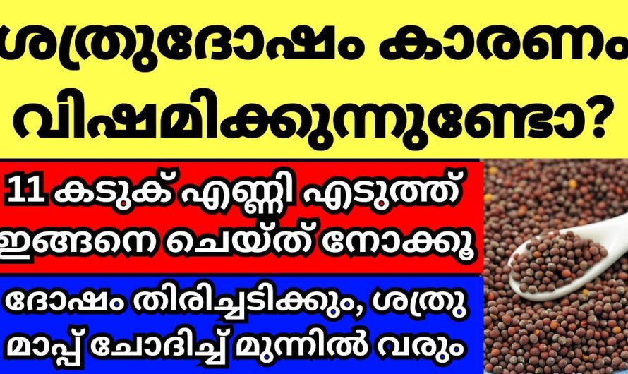 11 കടുക് എണ്ണി എടുത്ത് ഇങ്ങനെ ചെയ്യൂ, ശത്രു മാപ്പ് ചോദിച്ച് വരും, ശത്രു ദോഷം കൊണ്ട് വിഷമിക്കുന്നവർ,