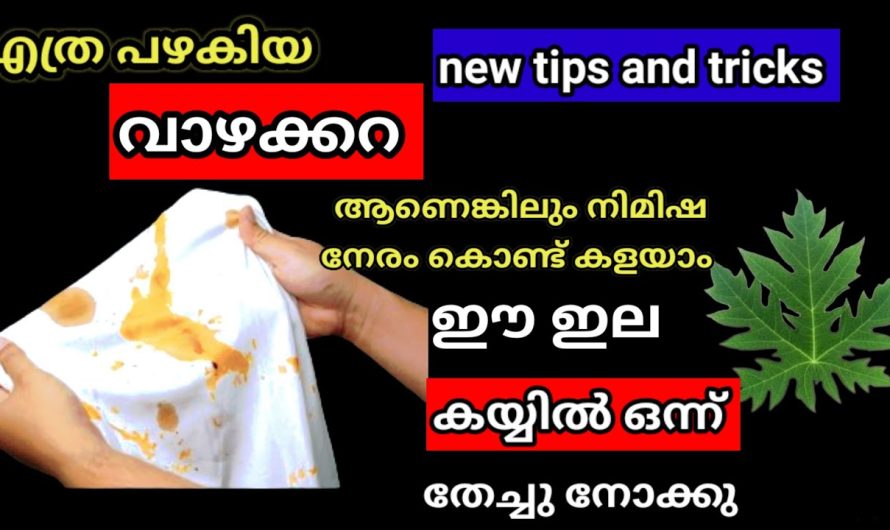 പാട് പോലും വരാതെ തുണികളിലെ വാഴക്കറ എത്ര പഴകിയാലും മാറ്റാം