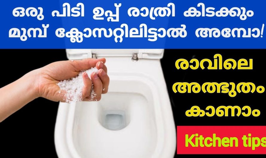 ഇതുവരെ അറിയാതെ പോയല്ലോ, ഉപ്പ് കൊണ്ടുള്ള ഈ സൂത്രങ്ങൾ