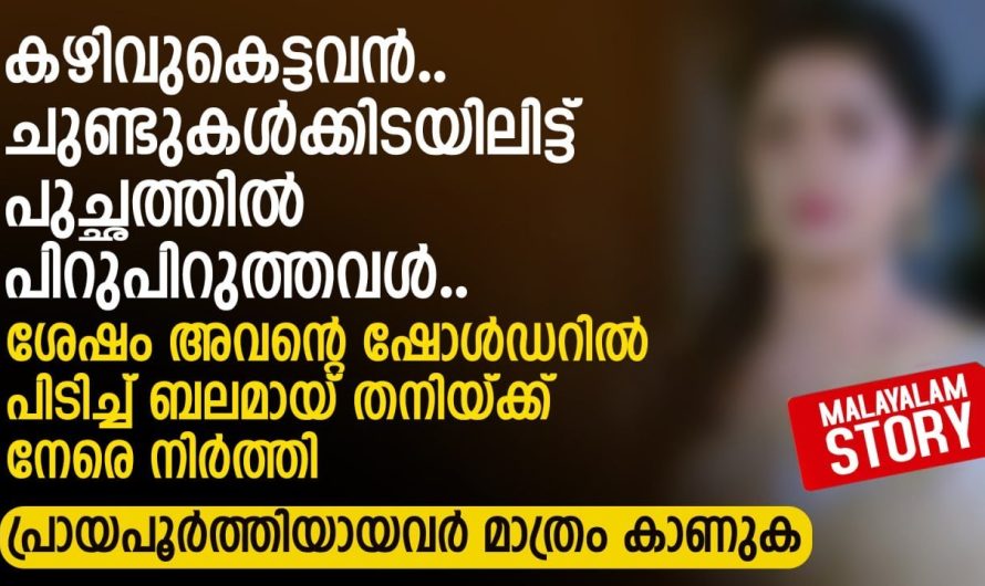 ഭർത്താവിൻറെ സ്നേഹം തിരിച്ചറിയാതെ പോയ ഭാര്യക്ക് കിട്ടിയ പണി..