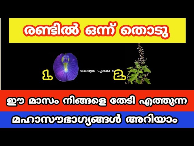 2024 വർഷം അവസാനിക്കുമ്പോൾ ഡിസംബർ മാസത്തിൽ നിങ്ങളെ തേടിയെത്തുന്ന സൗഭാഗ്യങ്ങൾ…