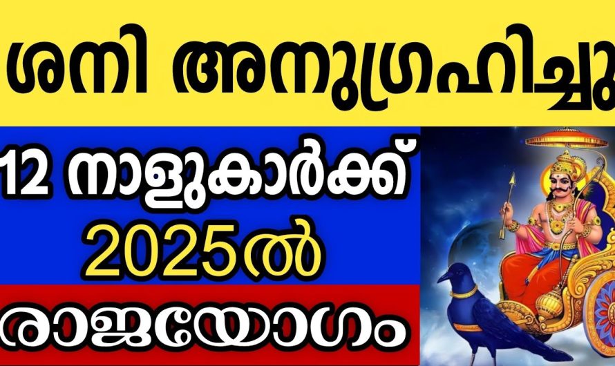 ശനിയുടെ അനുഗ്രഹത്താൽ 2025ൽ രാജയോഗം തുടങ്ങുന്ന 12 നക്ഷത്രക്കാർ