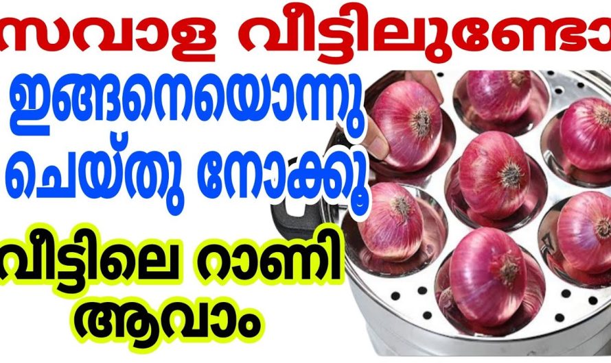 സവാള കൊണ്ട് ആരും ചെയ്യാത്ത ഒരു ഉഗ്രൻ ഐറ്റം പരിചയപ്പെടാം..