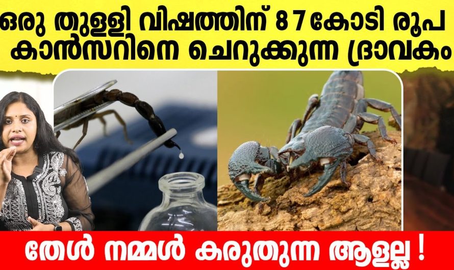 ലോകത്തിലെ തന്നെ ഏറ്റവും വിലകൂടിയ സാധനം ഏതാണെന്ന് അറിഞ്ഞാൽ നിങ്ങൾ ഞെട്ടും..