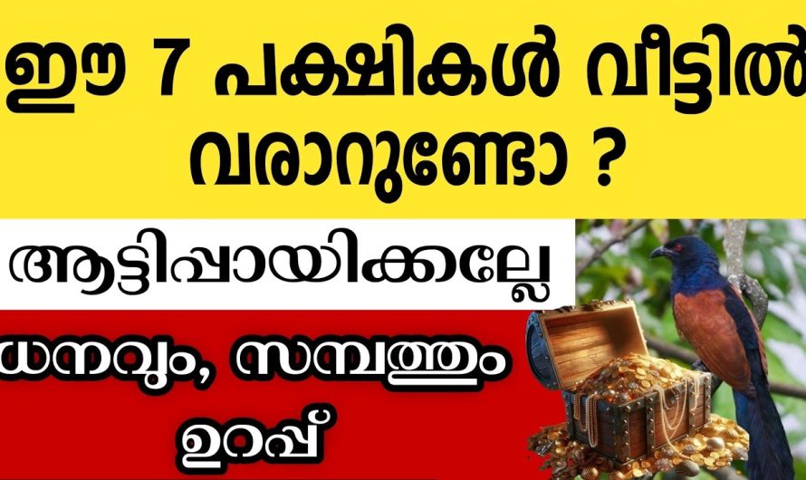 നിങ്ങളുടെ വീട്ടിലേക്ക് സകല സൗഭാഗ്യങ്ങളുമായി വരുന്ന 7 പക്ഷികൾ