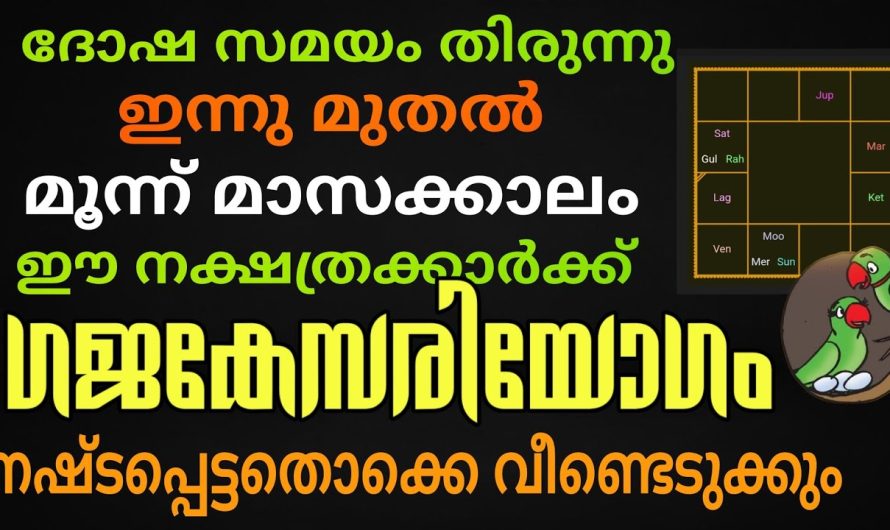 പുതുവർഷത്തിൽ സാമ്പത്തികമായിട്ട് ഒരുപാട് പുരോഗതി നേടുന്ന നാല് നക്ഷത്രക്കാർ…