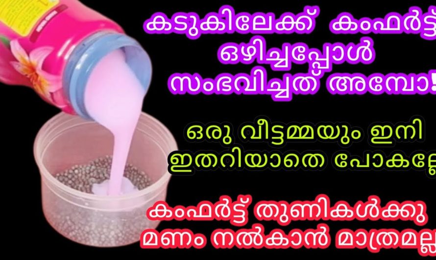 വീടുകളിൽ ഉണ്ടാകുന്ന ദുർഗന്ധം മാറ്റാനുള്ള ഒരു കിടിലൻ വിദ്യ…