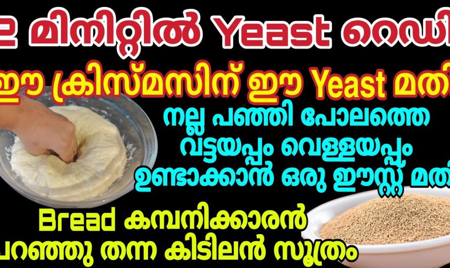 ഇനി ആർക്കും വീട്ടിലിരുന്നു കൊണ്ട് ഈസ്റ്റ് എളുപ്പത്തിൽ തയ്യാറാക്കി എടുക്കാം…