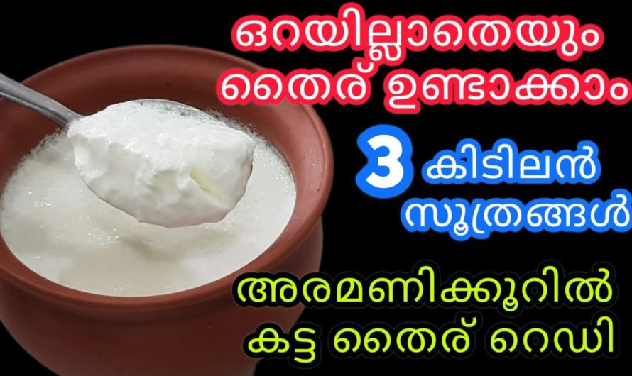 വീടുകളിൽ തൈര് ഉണ്ടാക്കാനുള്ള സിമ്പിൾ ആയിട്ടുള്ള മൂന്ന് മെത്തേഡുകൾ പരിചയപ്പെടാം…