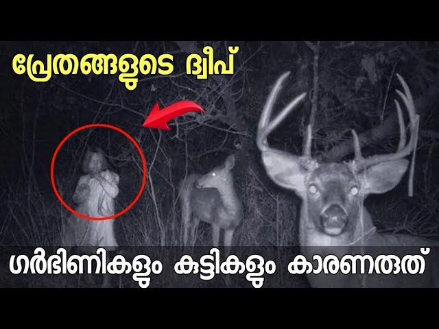 പ്രേതങ്ങളുടെ ദ്വീപ് എന്നറിയപ്പെടുന്ന ദ്വീപിനെ കുറിച്ച് മനസ്സിലാക്കാം..