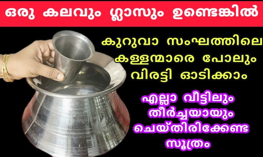 ഈ ഒരു ടിപ്സ് അറിയാതെ പോയാൽ നിങ്ങളുടെ ജീവിതത്തിലെ തീരാ നഷ്ടമായിരിക്കാം..