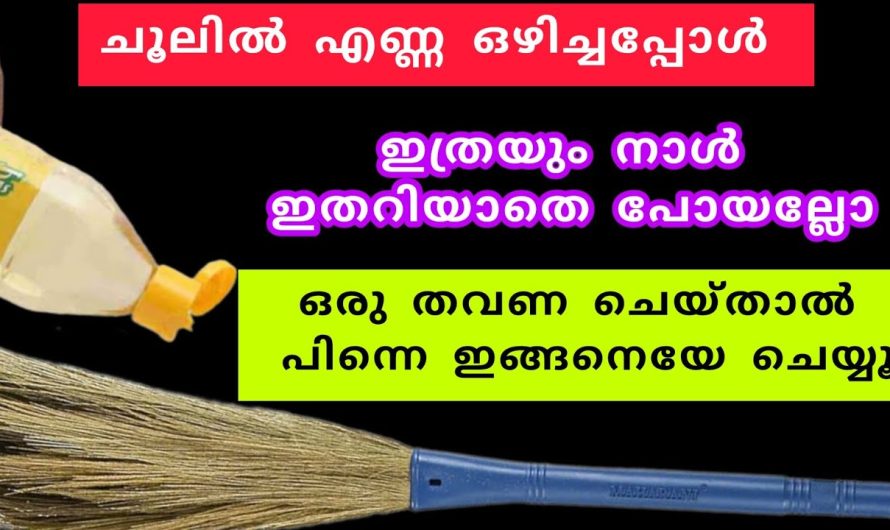 ഈ ഒരൊറ്റ ടിപ്സ് ചെയ്താൽ ചൂലുകൾ വീടുകളിൽ മാസങ്ങളോളം നിലനിൽക്കും…