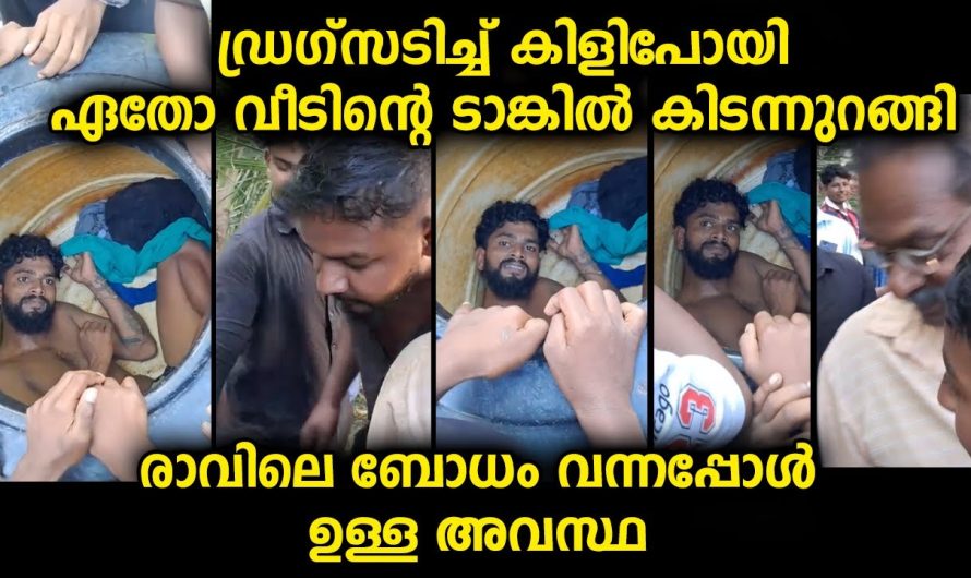 സിനിമയിൽ പോലും കാണാത്ത രീതിയിലാണ് ഇപ്പോൾ ഓരോ വീഡിയോയും കാണുമ്പോൾ തോന്നുന്നത്